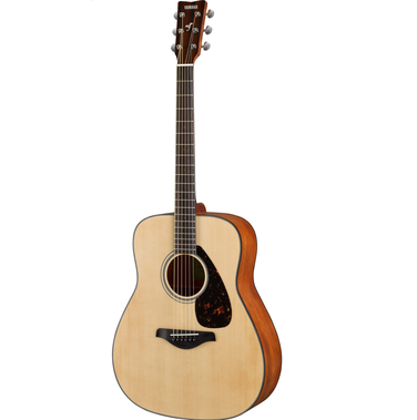 Acoustic Guitar FG800M